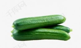 网红吃瓜q群免费,揭秘娱乐圈幕后故事，免费畅享八卦盛宴